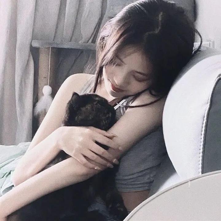 雪地灵犬3